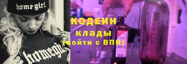 дмт Бородино