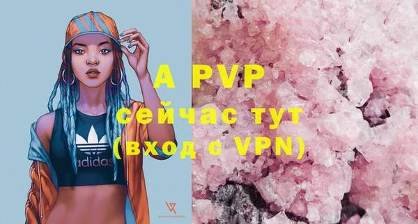 шишки Верхний Тагил
