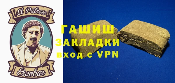 дмт Бородино