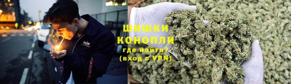 шишки Верхний Тагил