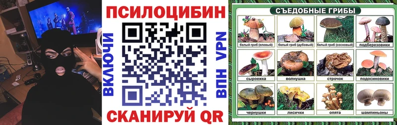 Псилоцибиновые грибы Magic Shrooms  Ростов 