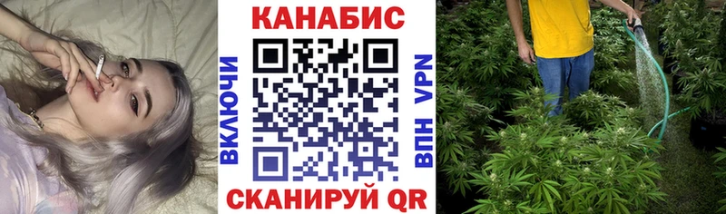 Конопля планчик  Ростов 